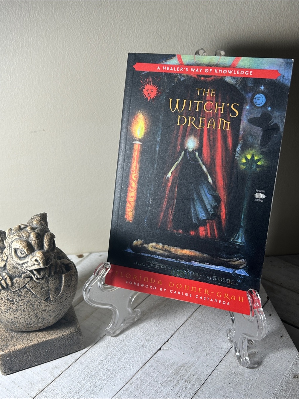 VINTAGE 1997 | The Witch's Dream: A Healer’s Way Of Knowledge Paperback Book